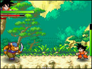 Dragon Ball Fighting