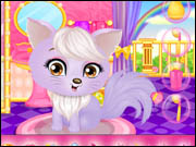 Princess Pet Care 2